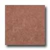 Atlas Concorde Diamante 12 X 12 Burnished Rosso Tile & Stone