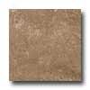 Atlas Concorde Diamante 12 X 12 Polished Moka Tile & Stone