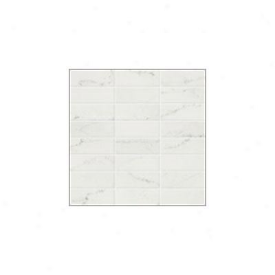 Atlas Concorde Style 12 X 12 Mosaico Bianco Venato Tile & Stone