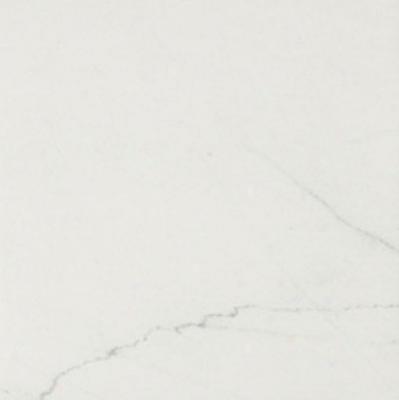 Atlas Concorde Style 24 X 24 Matte Bianco Venato Tile & Stone