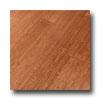 Bamboo By Natural Cork Stained Bamboo Solid Butterscotch Bamgoo Flooring