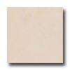 Bella Cera Fuste 18 X 18 Crema Tile & Stone