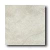 Bella Cera Navona 13 X 13 White Tile & Stone