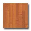 Brude Turlington Lock & Fold Maple 3 Russet Cinnamon Hardwood Flooring