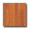 Bruce Turlington Seal & Fold Maple 5 Russet Cinnamon Hardwood Flooring