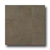 Casa Dolce Casa Clays 8 X 16 Metropolitan Tile & Stone