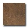 Cerdomus Hymera 18 X 18 Brown Tile & Stone