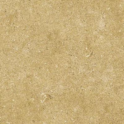 Cincz Limestone 10 X 20 Rectified Gold Tile & Stone