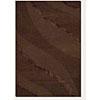 Couristan Anthians 2 X 3 Chocolate Area Rugs