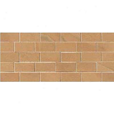 Crossville Buenos Aires Mood Mosaic 12 X 24 Polished La Boca Tile & Stone