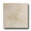 Crossville Buenos Aires Mood 4 X 24 Texturer Polo Tile & Stone