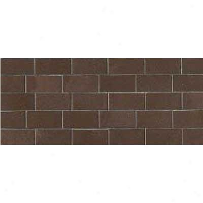 Crossville Buenos Aires Mood Mosaic 12 X 24 Polishrd Recoleta Tile & Stone