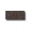 Crossville Buenks Aires Mood Mosaic 12 X 24 Textured Tango Tile & Stone