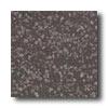 Crossville Cross-colors Lp 6 X 6 Polished Black Pearl Tile & Stone