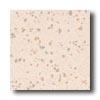 Crossville Cross-colors Lp 6 X 6 Polished White Coral Tile & Stone