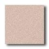 Crossville Cross-colors Moeaics Upd (cross-sheen Series) Truffle Tile & Stone