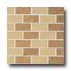 Crossvlile Emoire Mosaic Brick Cognac & Crown Dore Tile & Stone