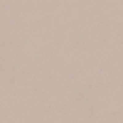 Crossville Retro Activr 6 X 12 Polished Seal Taupe Tile & Stone