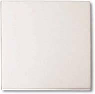 Crossville Stainless Steel 8 X 8 Brushed Tile & Stone