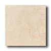 Daltile Calabria 18 X 18 Biscotti Tile & Stone