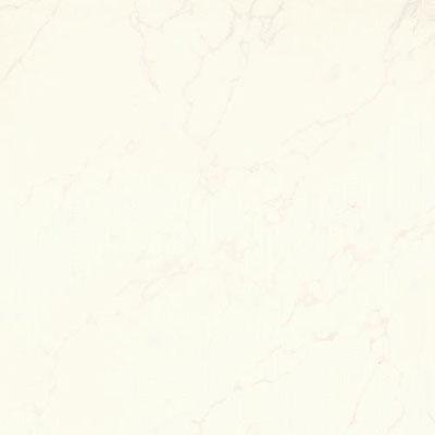 Daltile Cappella 24 X 24 Gardini Blanco Tjle & Free from ~s