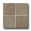 Daltile Castanea 11 X 11 Luserna Tile & Stone