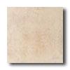 Daltile Cotto Antico 6 X 6 Sabbia Tile & Stone