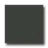 Daltile Design Porcelain Unpolished 4 X 4 Black Tile & Stone