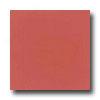 Daltile Design Porcelain Unpolisbed 12 X 12 Rosso Fioerntino Tile & Stone