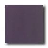 aDltile Designer Colours 12 X 12 Purple Tile & Stone