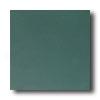 Daltile Designer Colours 12 X 12 Hunter Tile & Stone