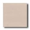 Daltile Designer Colours 12 X 12 Taupe Tile & Stne