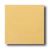 Daltile Designer Colours 8 X 8 Mustard Tile & Stone