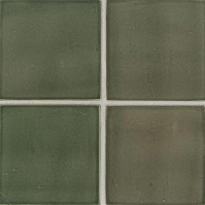 Daltile Earthen Cunning Folio #1 (6 X 6) Martini Olive Tile & Stone