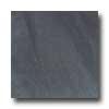 Daltile Era 12 X 24 Polished Olos Tile & Stone