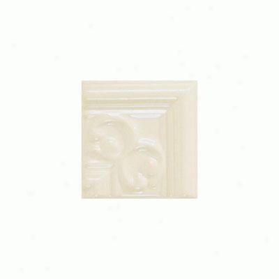 Daltile Fashion Accents Provimcial Fa52 135 Nexus Corners Tile & Stone