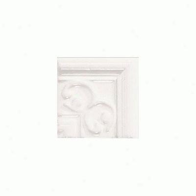 Daltile Faqhion Accents Provincial Fa51 190 Nexus Corners Tile & Stone