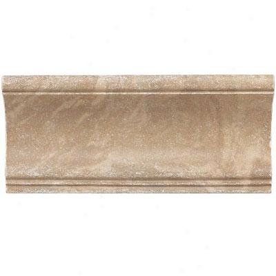 Daltile Fashion Accents Romanesque Fa79 Nocino Shoal Rail Tile & Stone