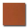 Daltile Festiva 6 X 6 Copper Tile & Stone