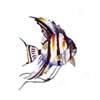 Daltile Glass Mosaic Murals Angelfish 31 X 45 Tile & Stone