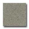 Daltile Granati Polished 12 X 12 Grigio Wnidsor Tile & Stone