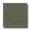 Daltjle Granati Polished 122 X 12 Nero Impala Tile & Stone