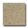 Daltile Granati Polished 12 X 12 Giallo Veneziano Tile & Stone