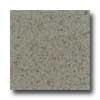 Daltile Granati Rude 12 X 12 Grigio Windsor Tile & Stone