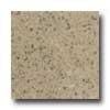 Daltile Granati Unpolished 12 X 12 Giallo Veneziano Tile & Stone