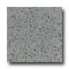 Daltile Granati Unpolished 12 X 12 Azzuro Polare Tile & Stone