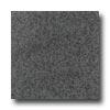 Daltile Granite 12 X 12 Absolut Black Chinese Flamed Tile & Stone