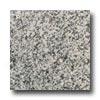 Daltile Granite 12 X 12 Luna Pearl Tile & Stone