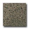 Daltile Granite 12 X 12 Silver Sea Green Tile & Stone