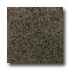 Daltile Granite 12 X 12 Tunas Green Tile & Stne